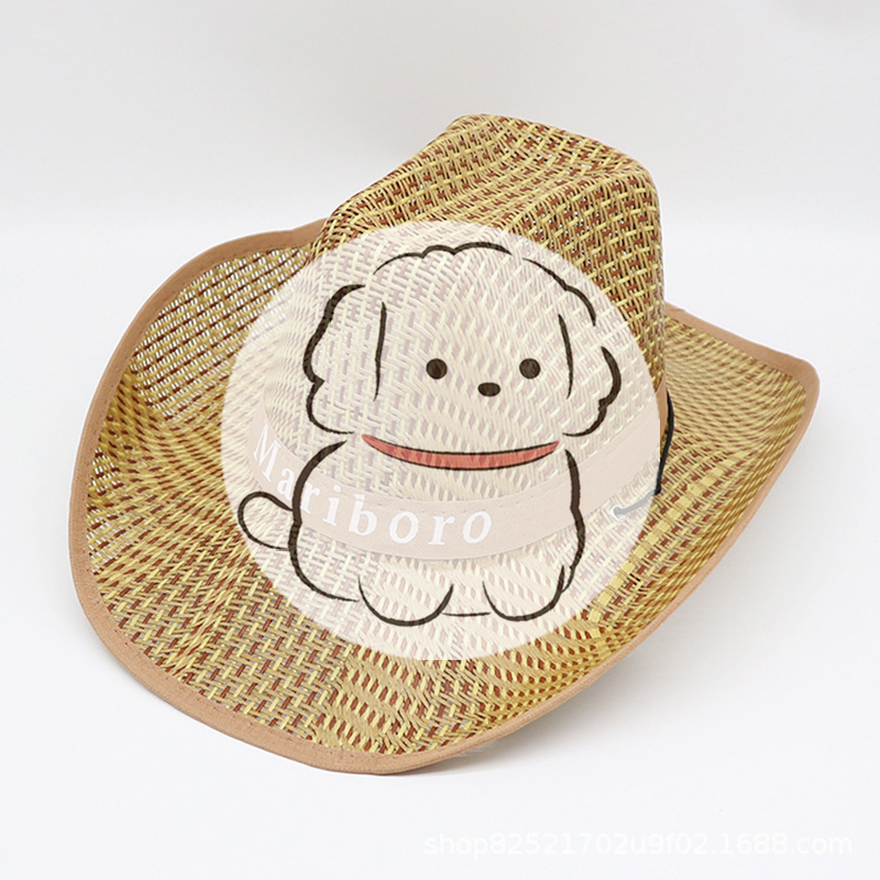 Men Retro Western Cowboy Summe - Cowboy Hat Straw avis et prix
